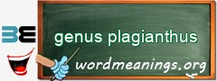 WordMeaning blackboard for genus plagianthus